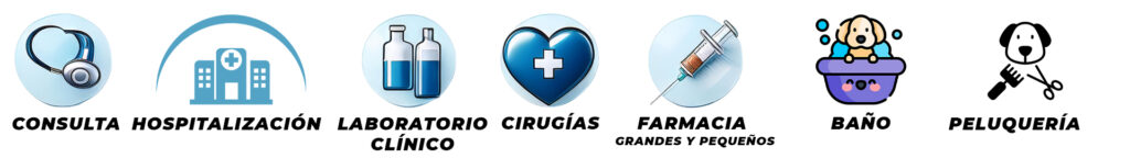 banner prosedimmientos