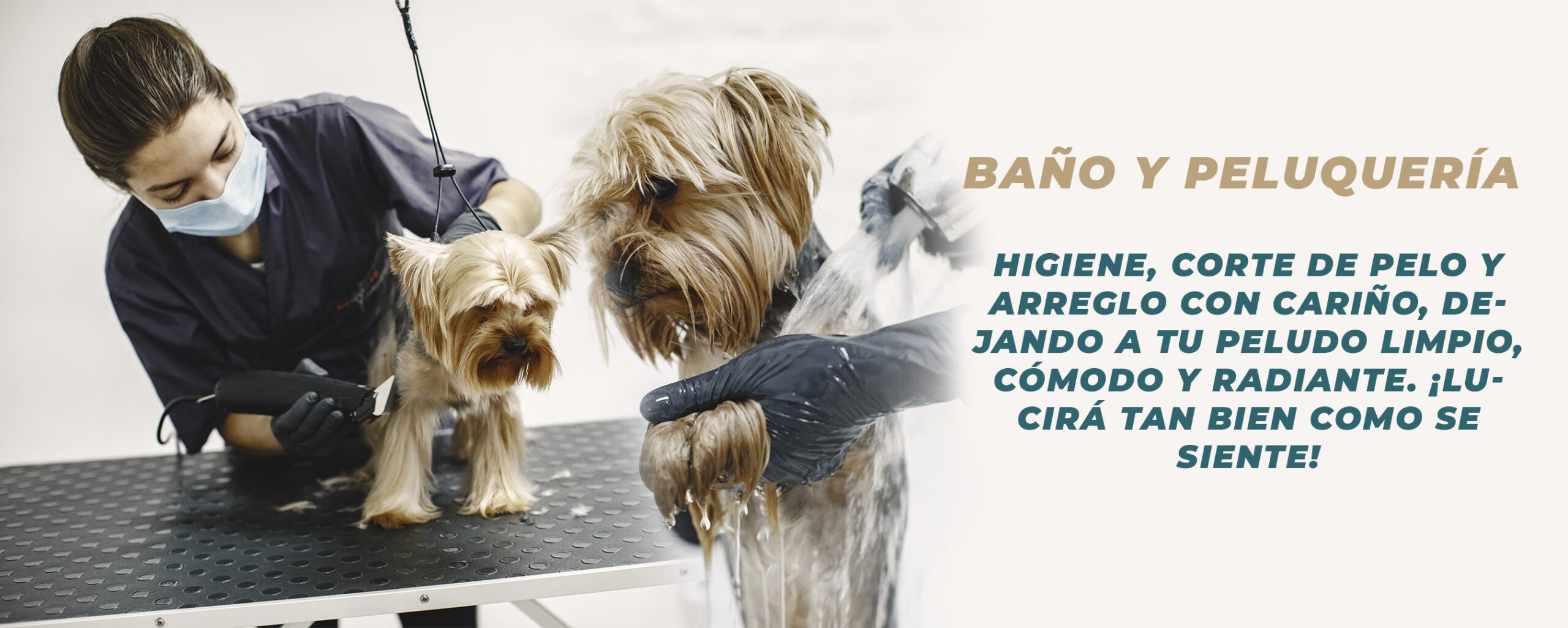 banner sllider baño y peluquería