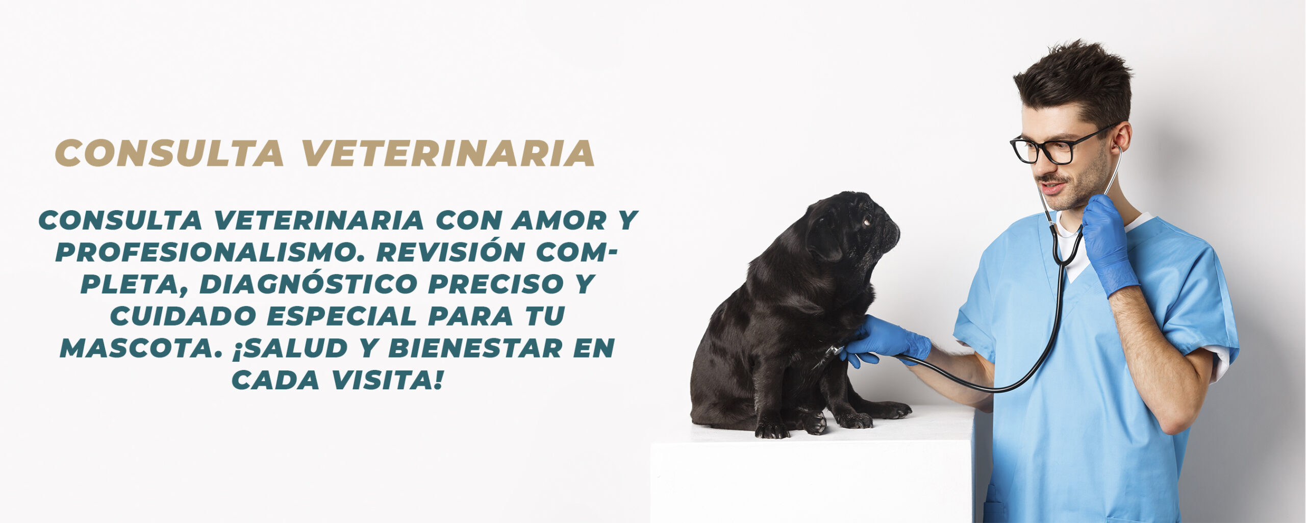 banner sllider consulta