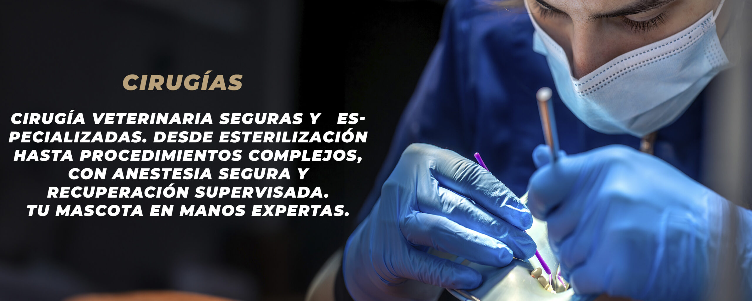 banner sllider cirugías
