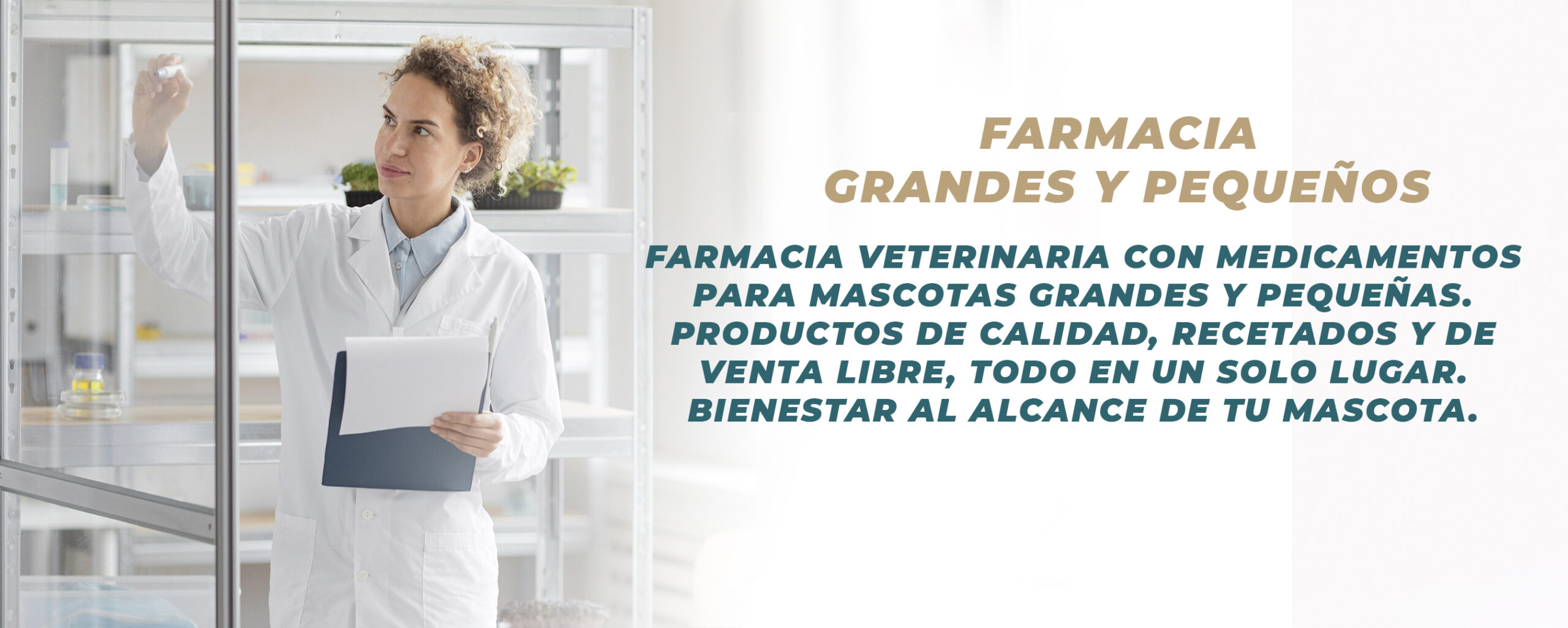 banner sllider farmacia