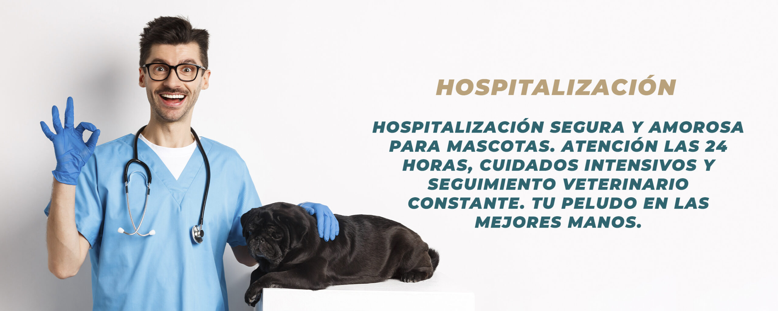 banner sllider hospitalización