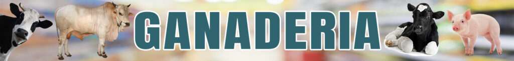 banner tienda secciones ganaderia