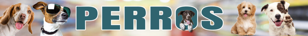 banner tienda secciones perros