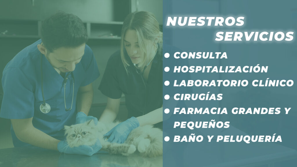 foto portada