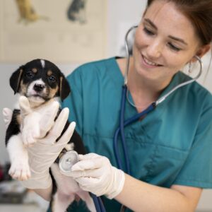 cerca de veterinario cuidando perro (1)